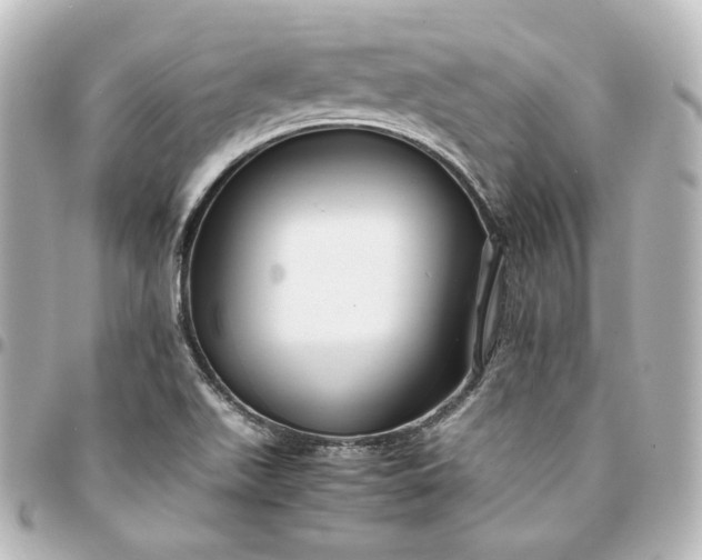 X0000095541511200712281532