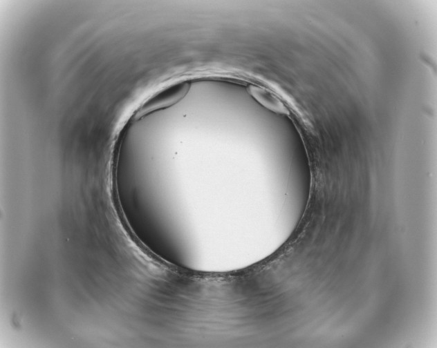 X0000095541512200712281532