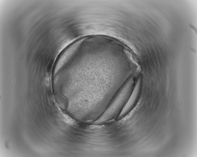 X0000095541513200712281532