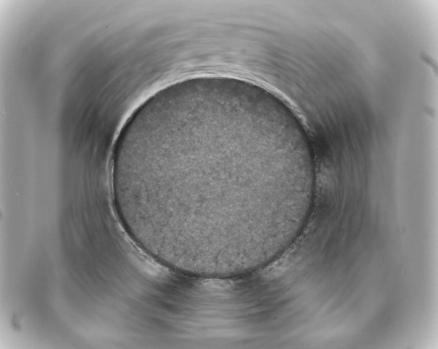 X0000095541514200712281532