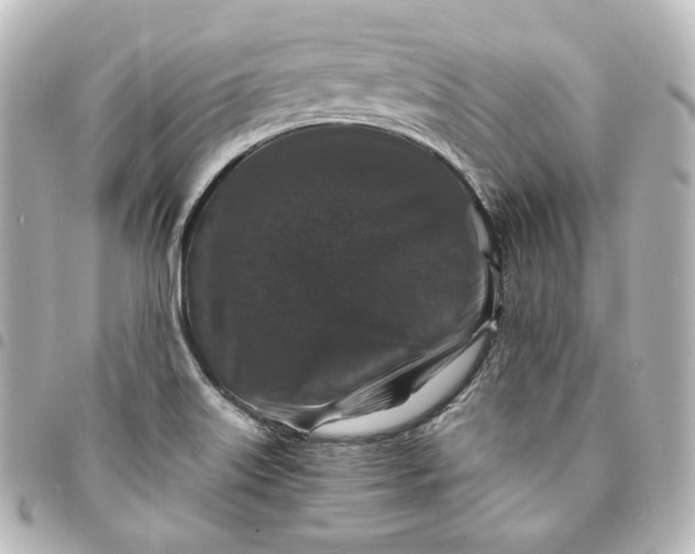 X0000095541515200712281532