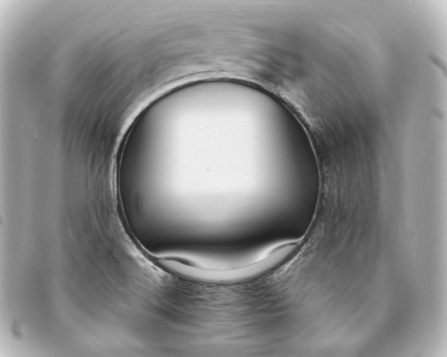 X0000095541516200712281532