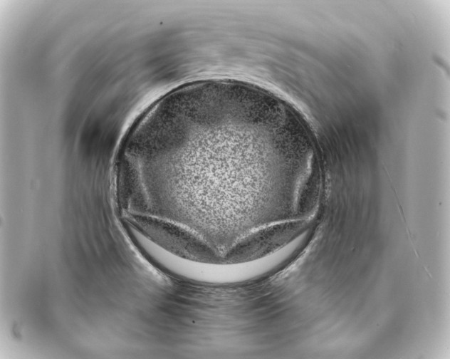 X0000095541517200712281532