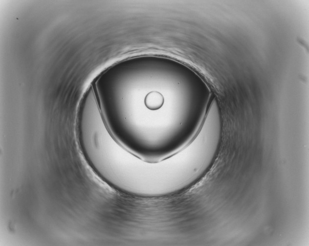 X0000095541518200712281532