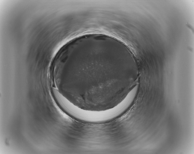 X0000095541519200712281532