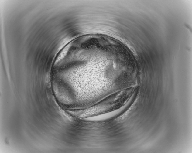 X0000095541521200712281532