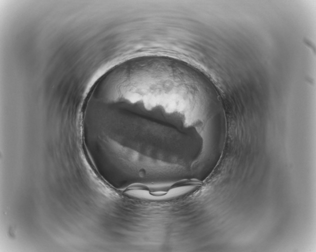 X0000095541522200712281532