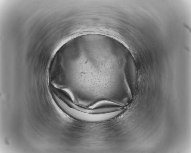 X0000095541523200712281532