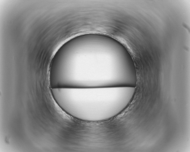 X0000095541524200712281532