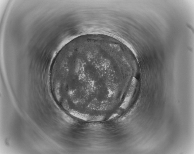 X0000095541525200712281532