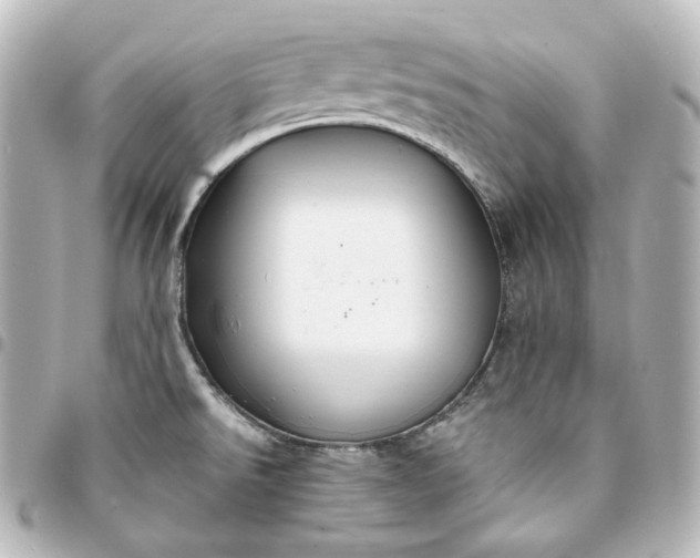 X0000095541526200712281533