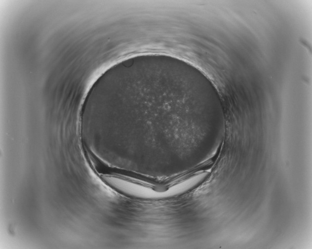 X0000095541527200712281533