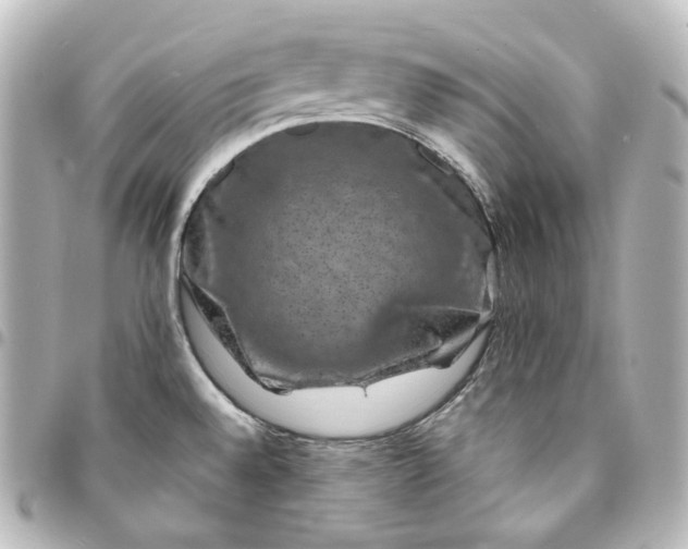 X0000095541528200712281533