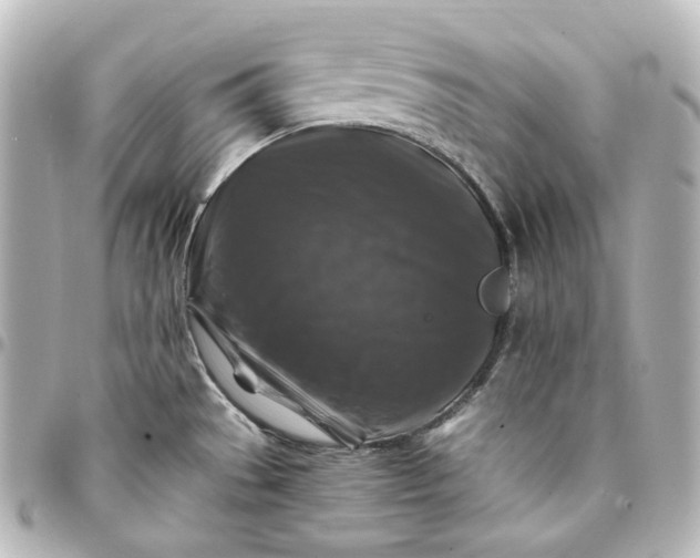 X0000095541529200712281533