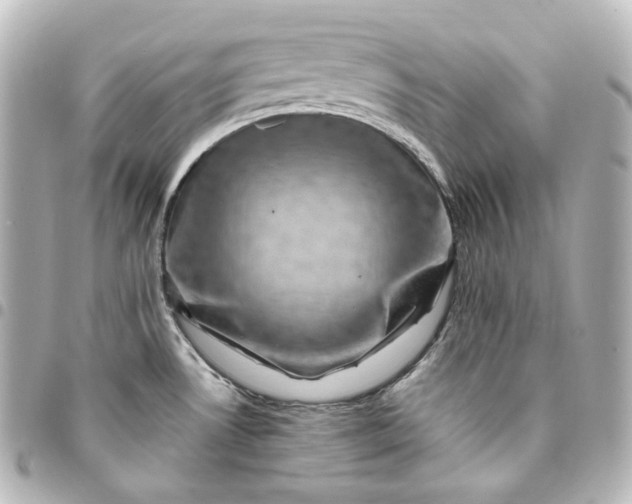 X0000095541530200712281533