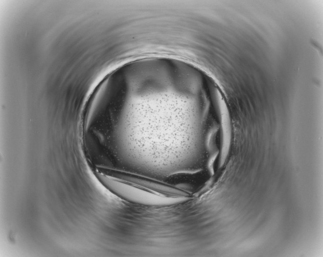 X0000095541531200712281533