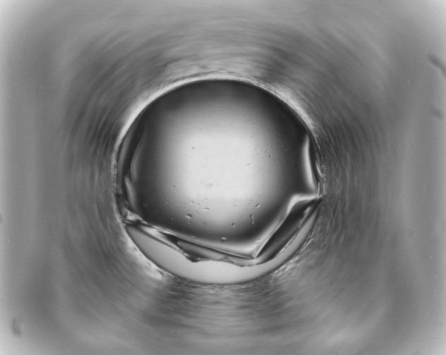 X0000095541532200712281533