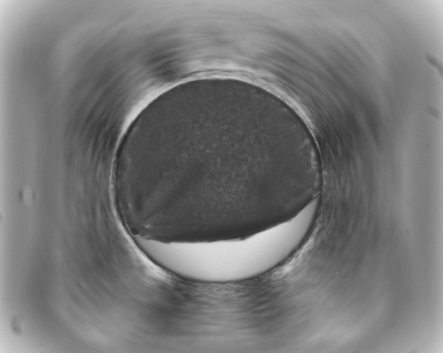 X0000095541533200712281533