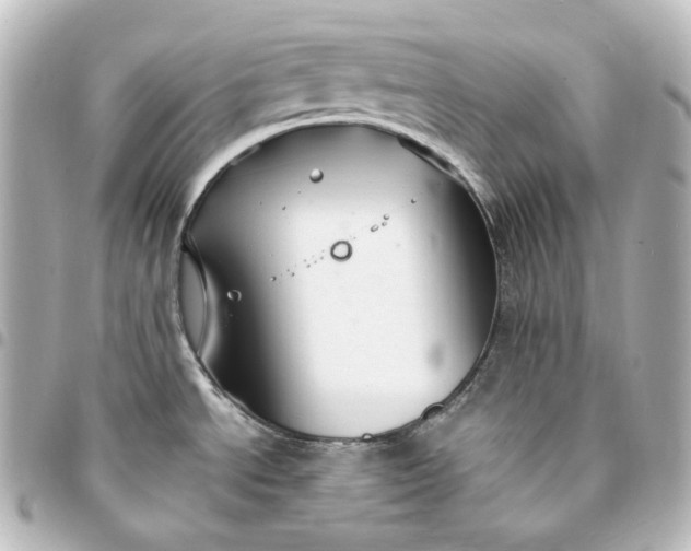 X0000095541534200712281533