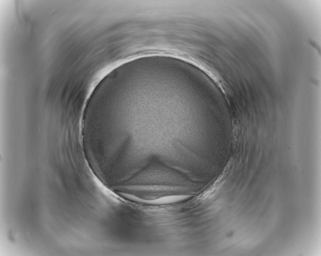 X0000095541535200712281533