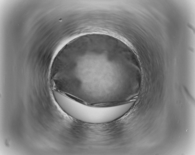 X0000095541536200712281533