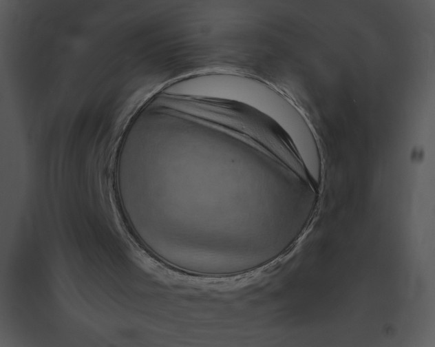 X0000095540001200801041319