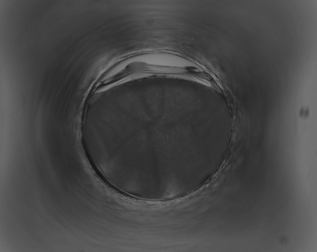 X0000095540002200801041319