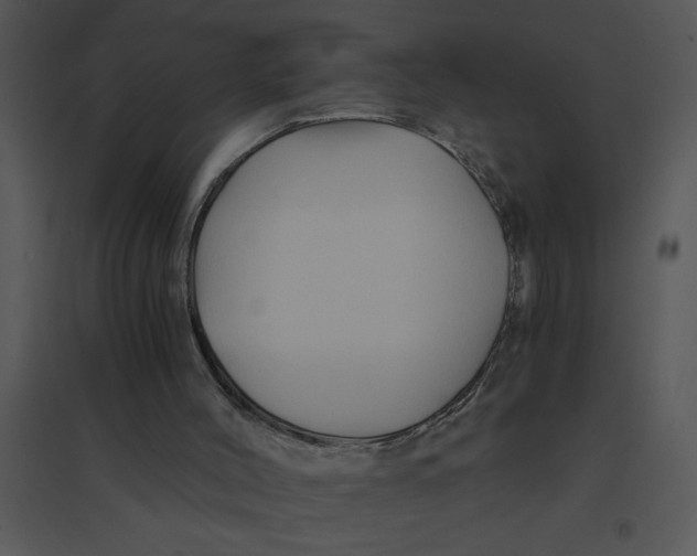 X0000095540004200801041319