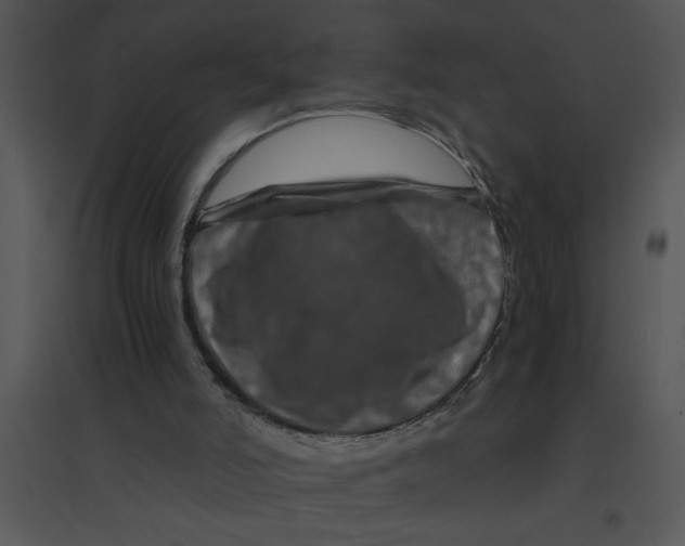 X0000095540006200801041319