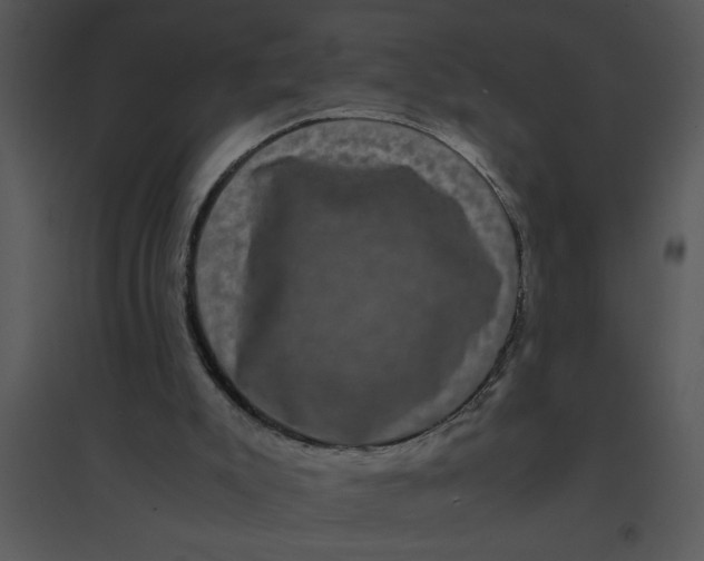 X0000095540007200801041319