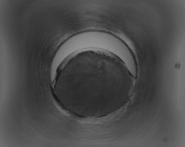 X0000095540009200801041319