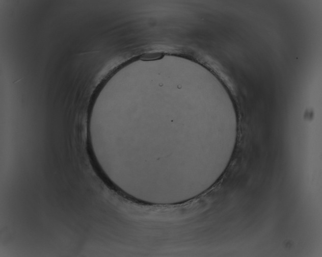 X0000095540011200801041319