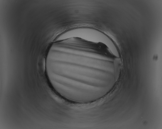 X0000095540013200801041319