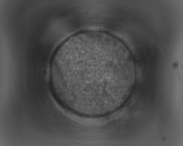 X0000095540016200801041319