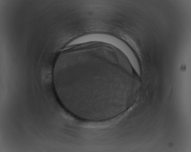 X0000095540017200801041319