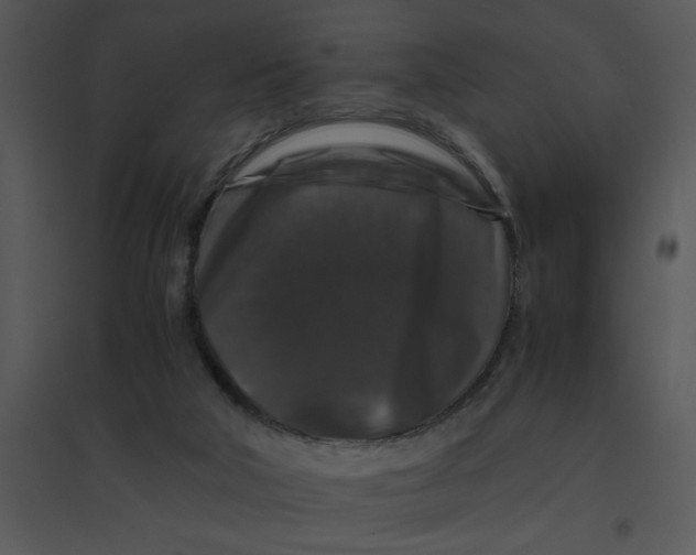 X0000095540018200801041319