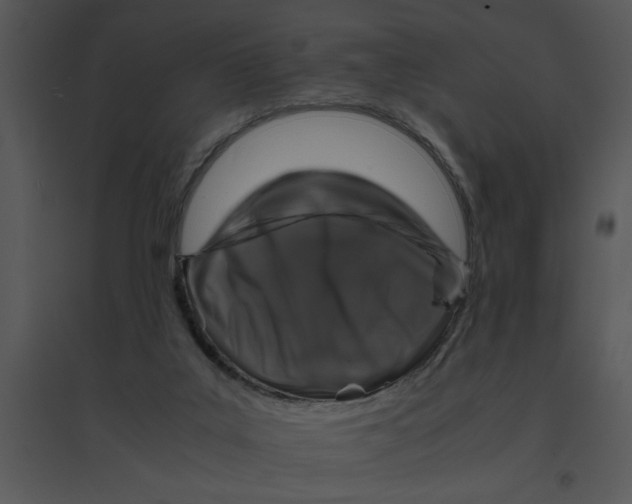 X0000095540019200801041319