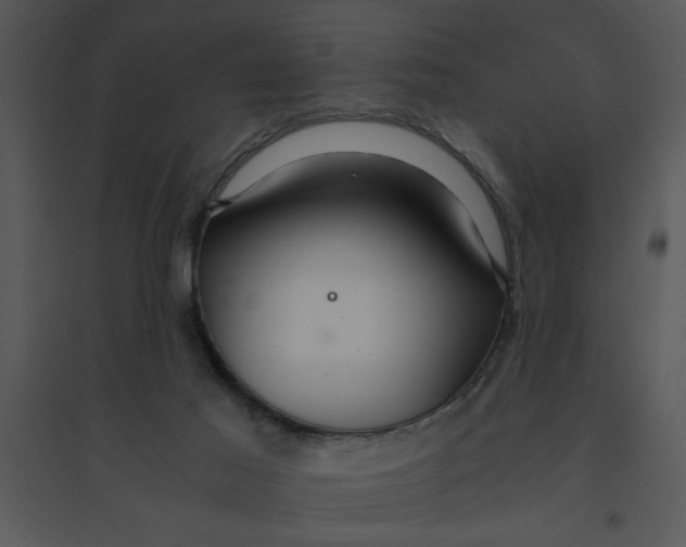 X0000095540021200801041319