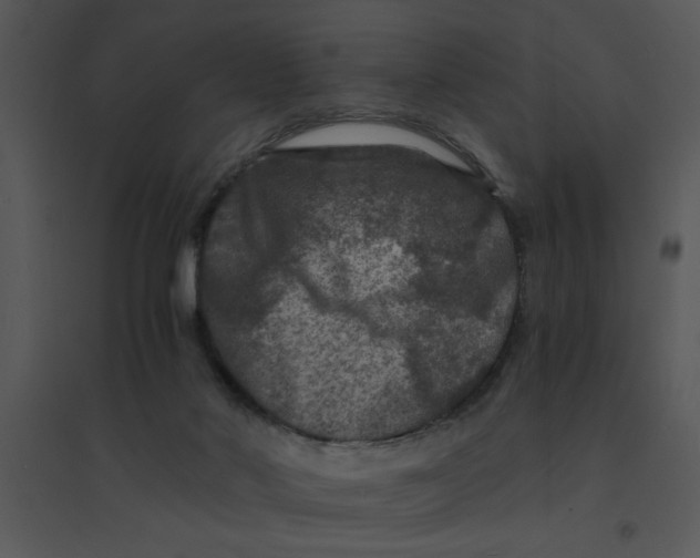 X0000095540022200801041319