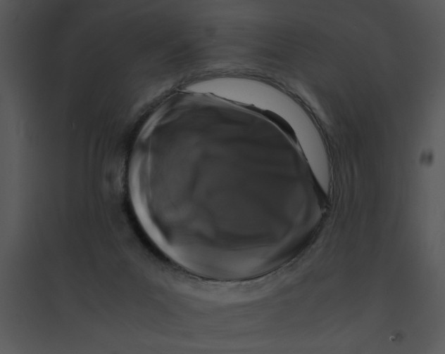 X0000095540023200801041319