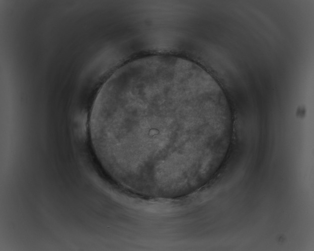 X0000095540024200801041319