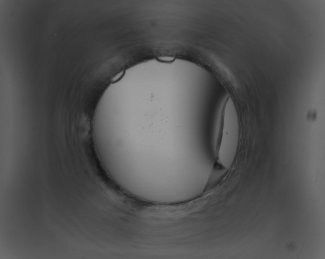 X0000095540025200801041319