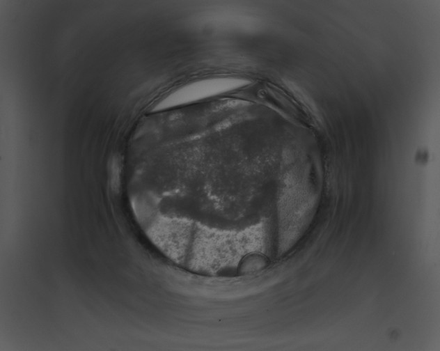 X0000095540026200801041319