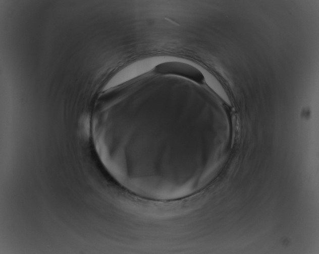 X0000095540027200801041319