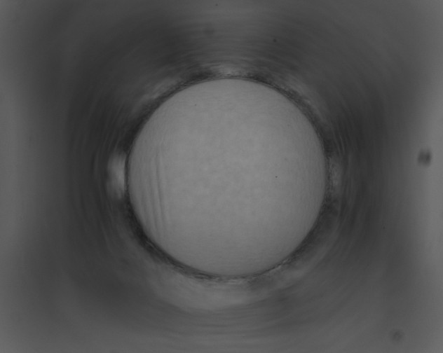 X0000095540028200801041319