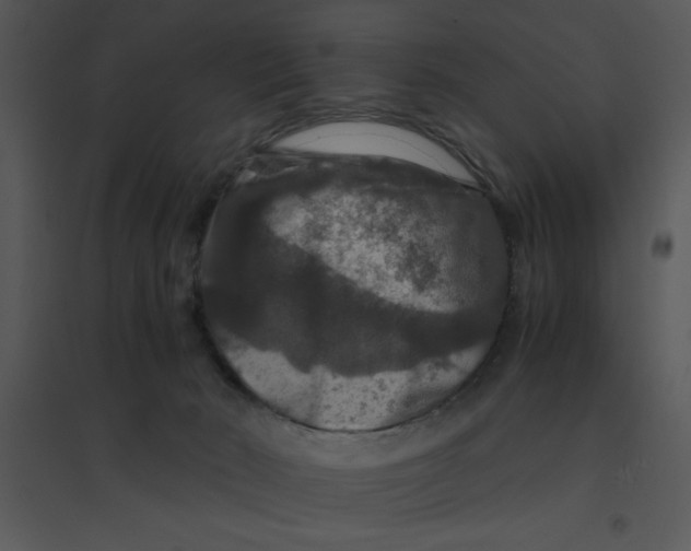 X0000095540030200801041319