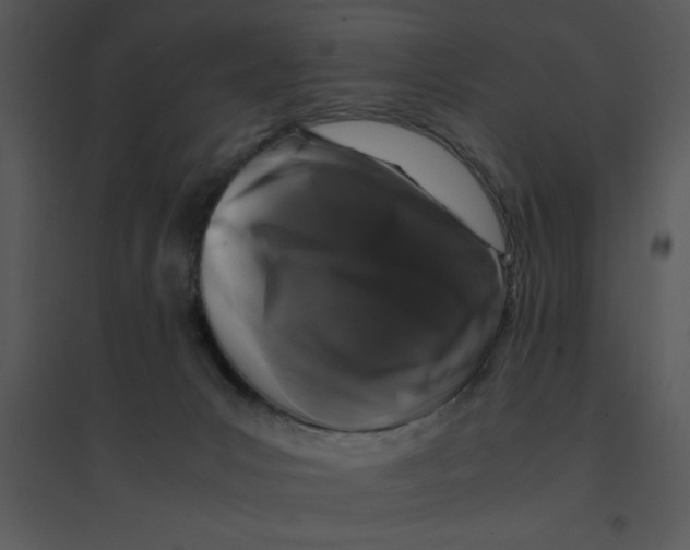 X0000095540031200801041319