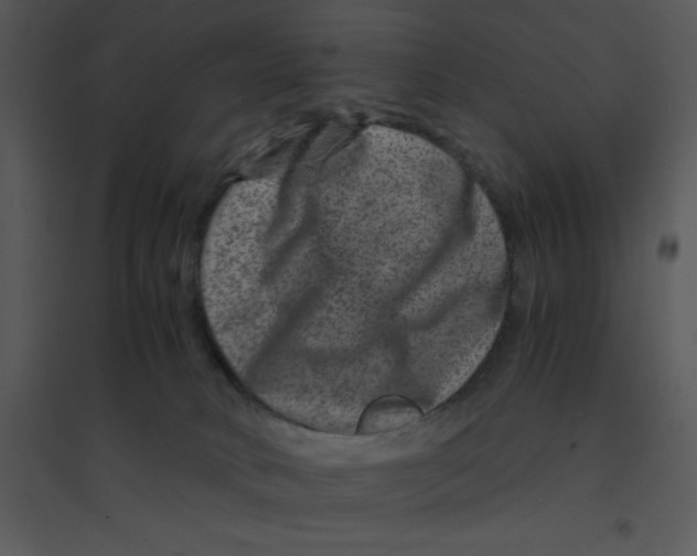 X0000095540034200801041319