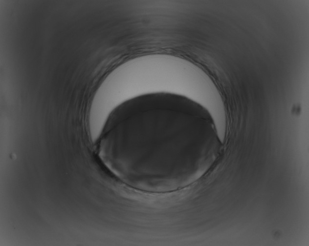 X0000095540035200801041319