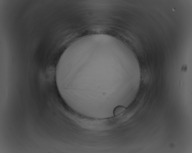 X0000095540036200801041319